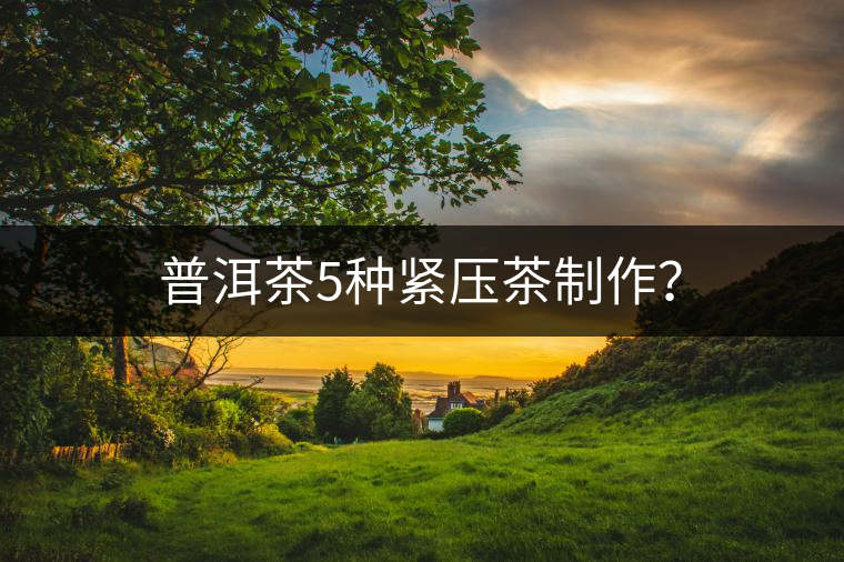 普洱茶5種緊壓茶制作？