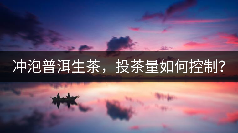 沖泡普洱生茶，投茶量如何控制？