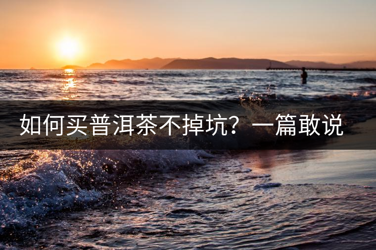 如何買普洱茶不掉坑？一篇敢說真話的良心之作。