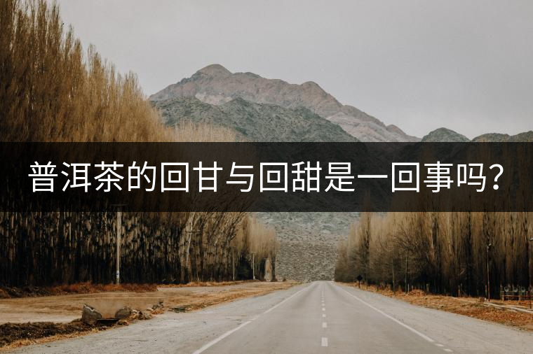 普洱茶的回甘與回甜是一回事嗎？？