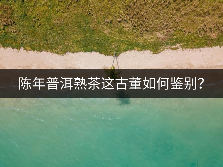 陳年普洱熟茶這古董如何鑒別？