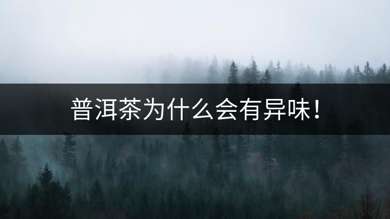 普洱茶為什么會(huì)有異味！