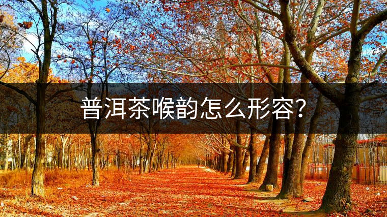 普洱茶喉韻怎么形容？