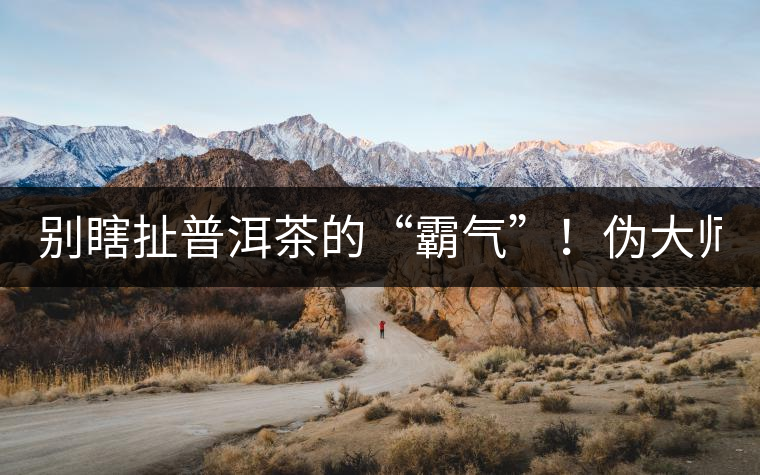 別瞎扯普洱茶的“霸氣”！偽大師！