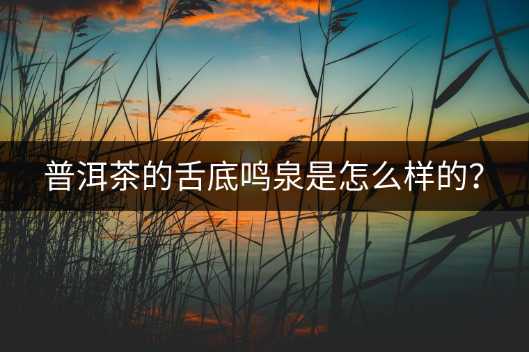 普洱茶的舌底鳴泉是怎么樣的？