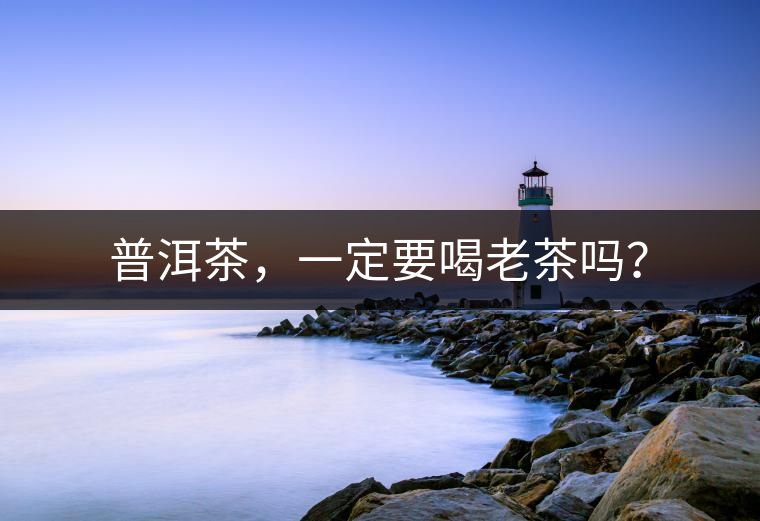 普洱茶，一定要喝老茶嗎？