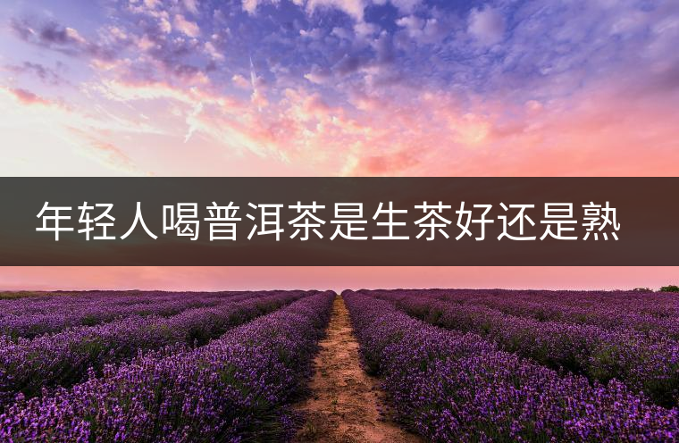 年輕人喝普洱茶是生茶好還是熟茶好？該怎么選擇？