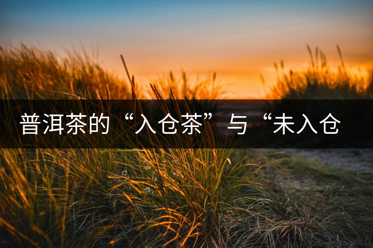 普洱茶的“入倉(cāng)茶”與“未入倉(cāng)茶”如何區(qū)分，你造嗎？
