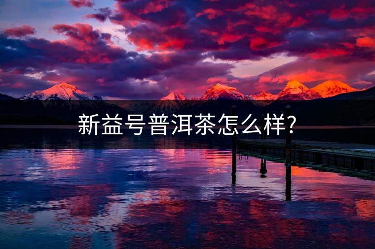 新益號(hào)普洱茶怎么樣?
