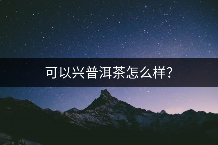 可以興普洱茶怎么樣？