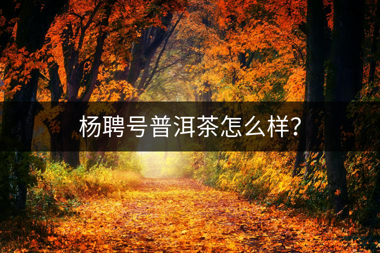 楊聘號(hào)普洱茶怎么樣? 楊聘號(hào)普洱茶怎么樣?