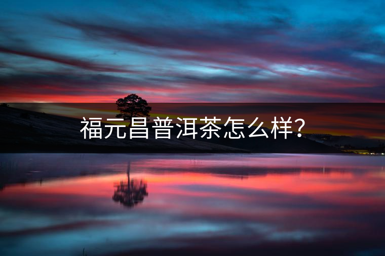 福元昌普洱茶怎么樣？