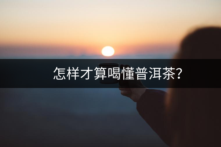 　怎樣才算喝懂普洱茶？