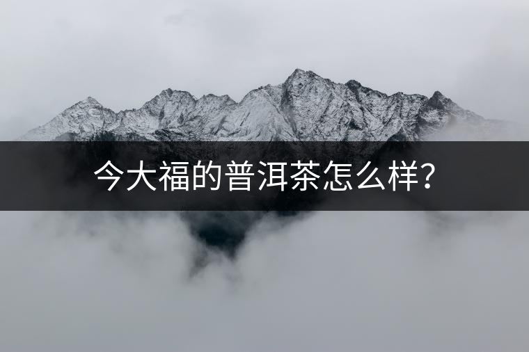 今大福的普洱茶怎么樣？