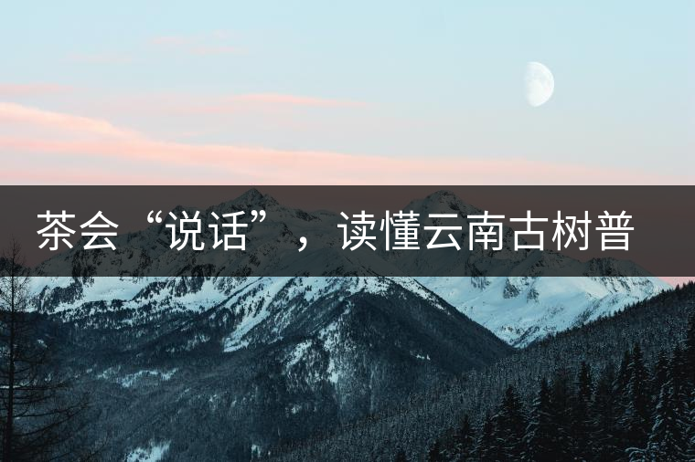 茶會“說話”，讀懂云南古樹普洱茶的秘訣