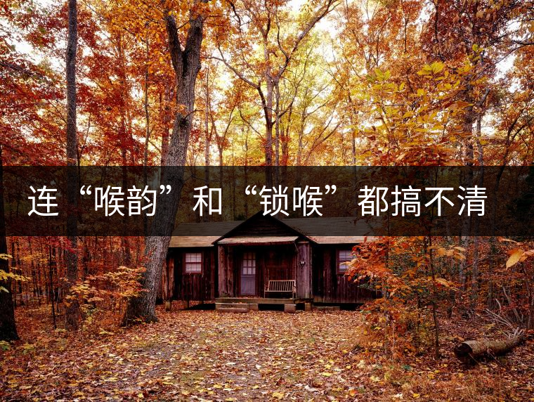 連“喉韻”和“鎖喉”都搞不清楚，就不要說(shuō)懂普洱茶！