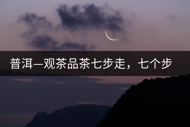 普洱—觀茶品茶七步走，七個步驟，喝懂普洱茶