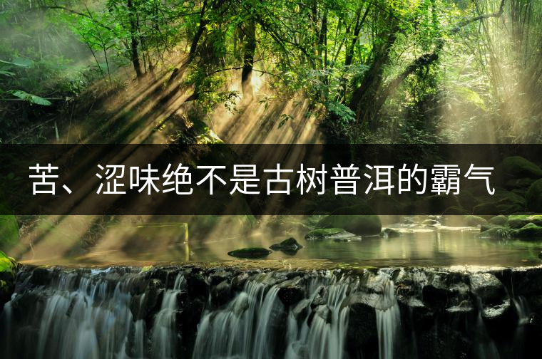 苦、澀味絕不是古樹普洱的霸氣，那也叫懂普洱茶，別逗了！