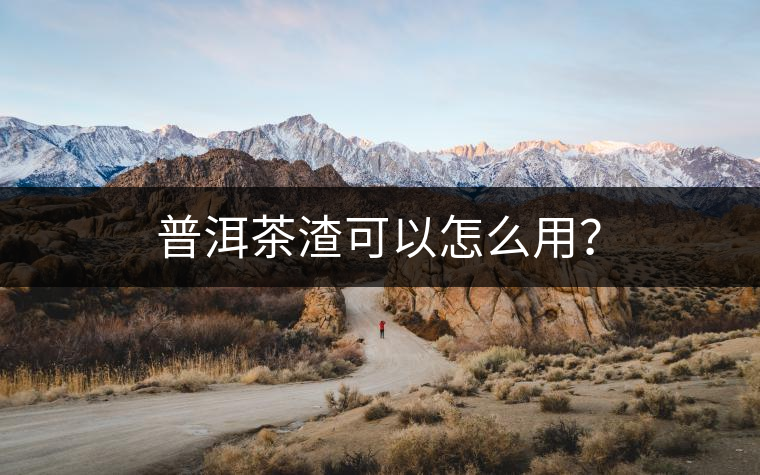 普洱茶渣可以怎么用？