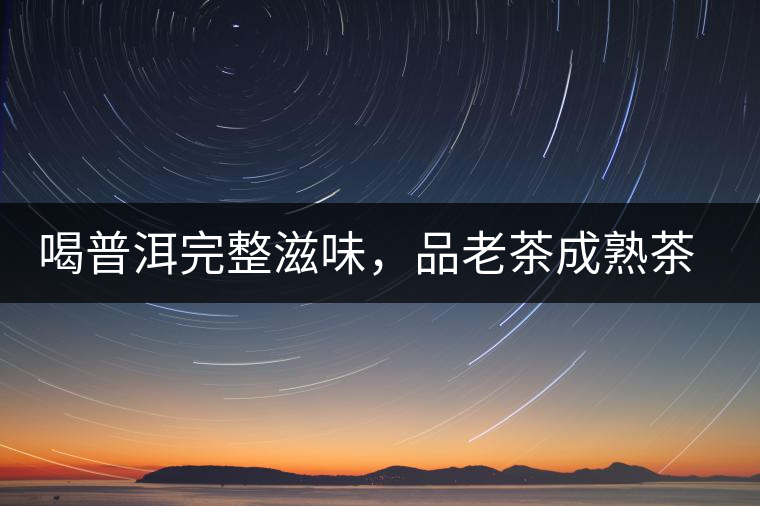 喝普洱完整滋味，品老茶成熟茶湯