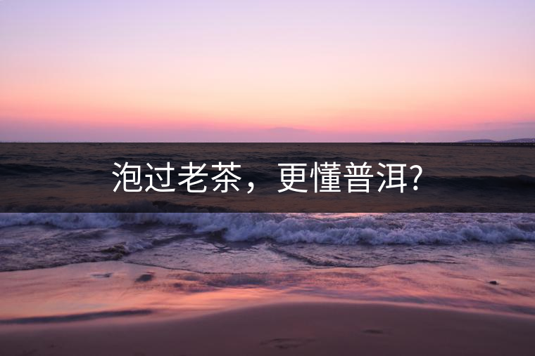 泡過老茶，更懂普洱?