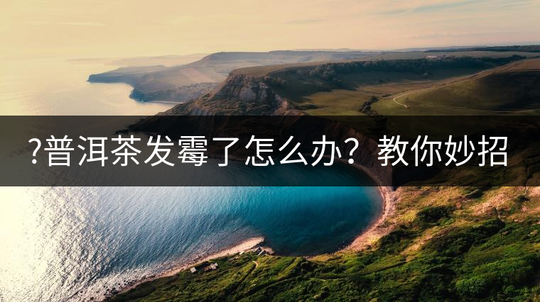 ?普洱茶發(fā)霉了怎么辦？教你妙招應(yīng)對(duì)發(fā)霉的普洱茶！