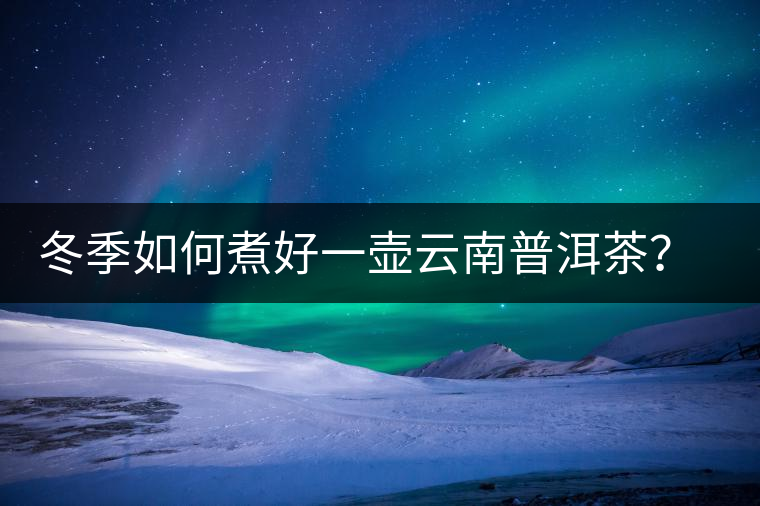 冬季如何煮好一壺云南普洱茶？記好這份煮茶攻略