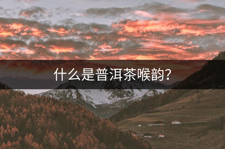 什么是普洱茶喉韻？
