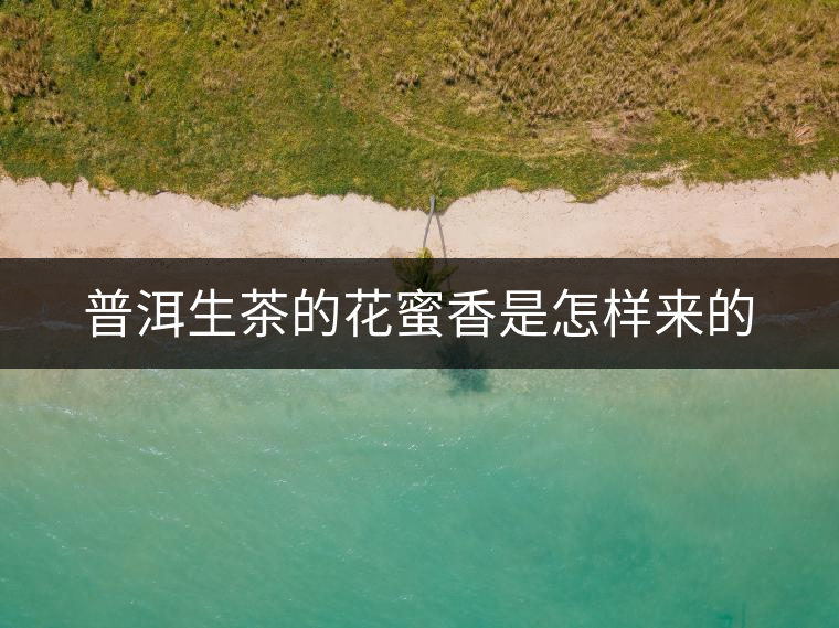 普洱生茶的花蜜香是怎樣來的