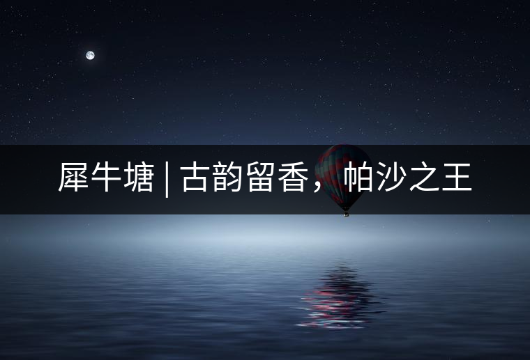 犀牛塘 | 古韻留香，帕沙之王