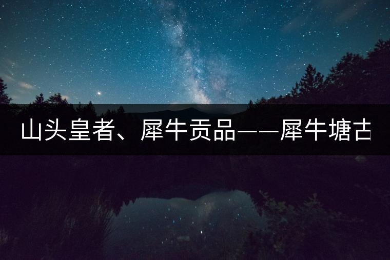 山頭皇者、犀牛貢品——犀牛塘古樹(shù)茶！