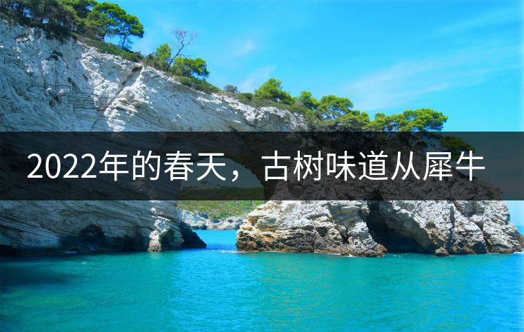 2022年的春天，古樹味道從犀牛塘開始！