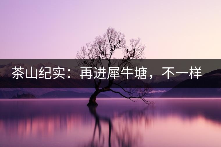 茶山紀實：再進犀牛塘，不一樣的感覺；菁瑤可以預見的豐收年