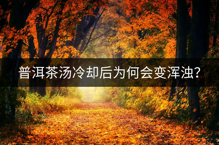 普洱茶湯冷卻后為何會變渾濁？