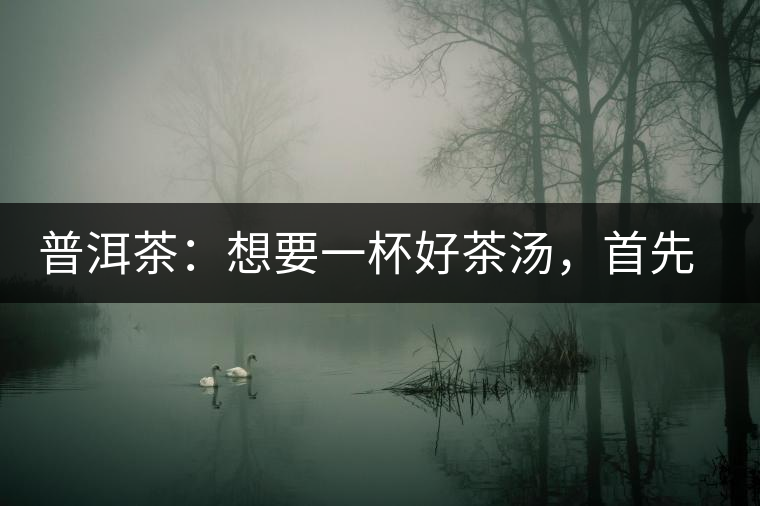 普洱茶：想要一杯好茶湯，首先要會(huì)醒茶