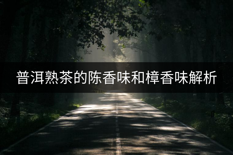 普洱熟茶的陳香味和樟香味解析