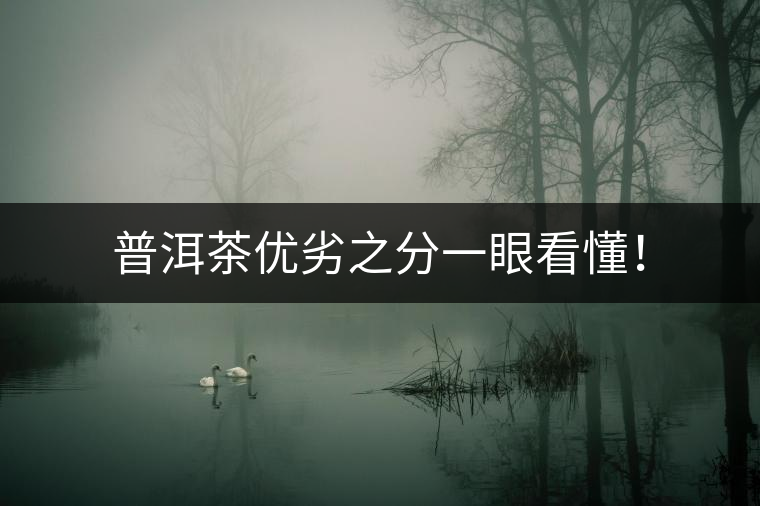 普洱茶優(yōu)劣之分一眼看懂！