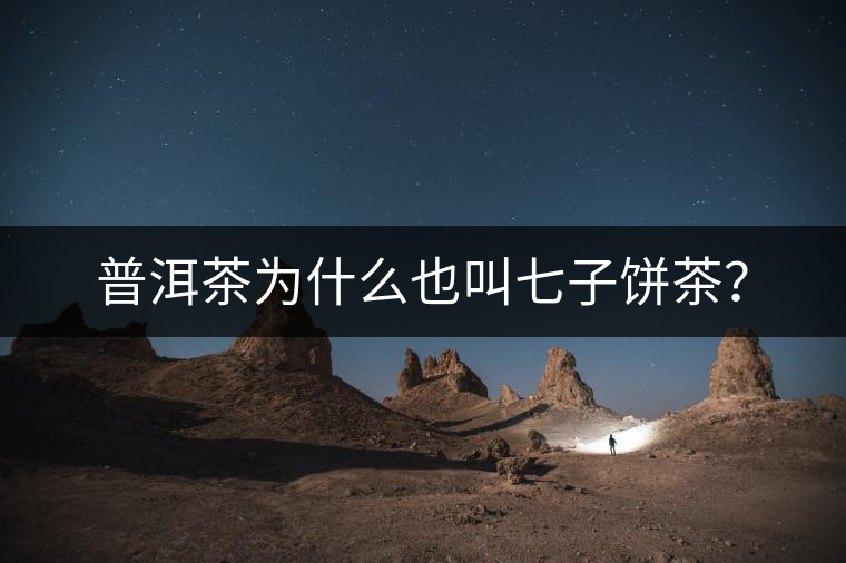 普洱茶為什么也叫七子餅茶？