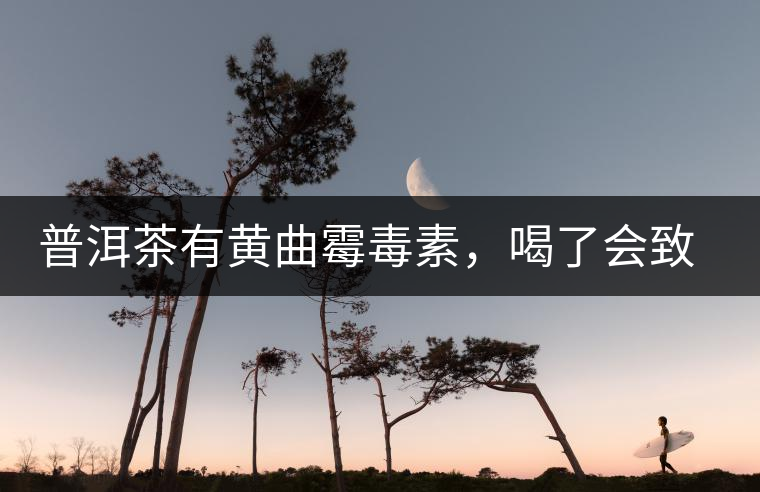普洱茶有黃曲霉毒素，喝了會致癌？不黑不吹，咱用事實說話