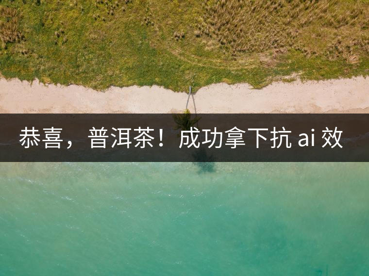 恭喜，普洱茶！成功拿下抗 ai 效果第二名！