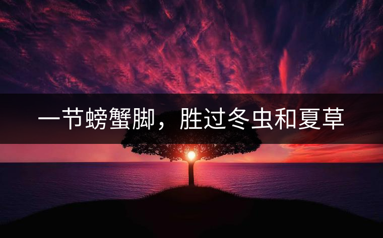 一節(jié)螃蟹腳，勝過(guò)冬蟲(chóng)和夏草