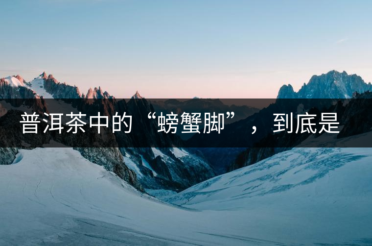 普洱茶中的“螃蟹腳”，到底是什么？如何辨別？