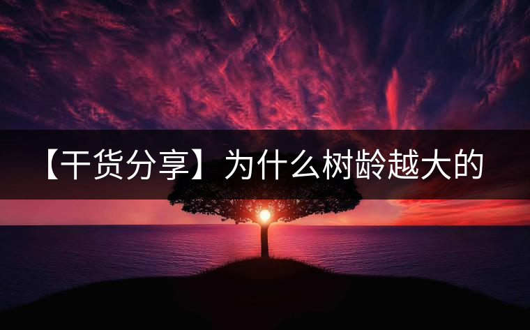 【干貨分享】為什么樹齡越大的普洱生茶，苦味越容易化掉？