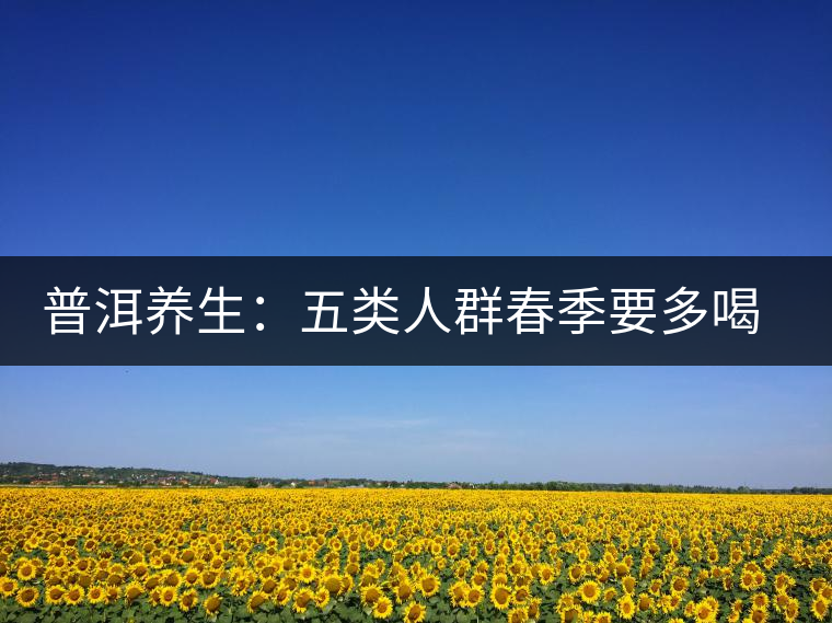 普洱養(yǎng)生：五類人群春季要多喝普洱老茶