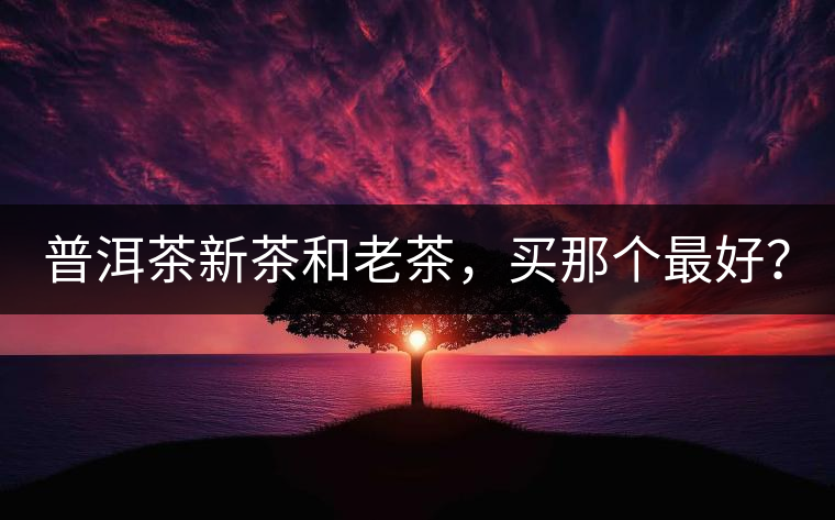 普洱茶新茶和老茶，買那個(gè)最好？