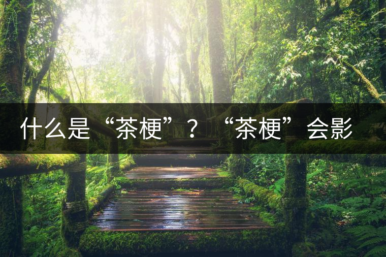 什么是“茶?！保俊安韫！睍绊懫斩杵焚|(zhì)？