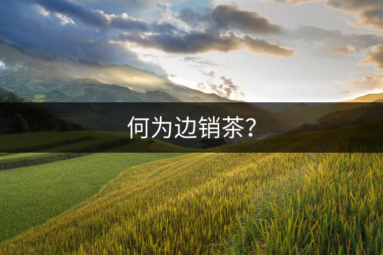 何為邊銷茶？