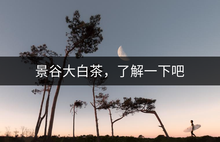 景谷大白茶，了解一下吧
