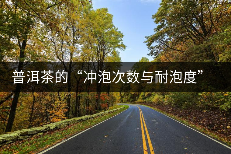 普洱茶的“沖泡次數(shù)與耐泡度”，你都了解嗎？