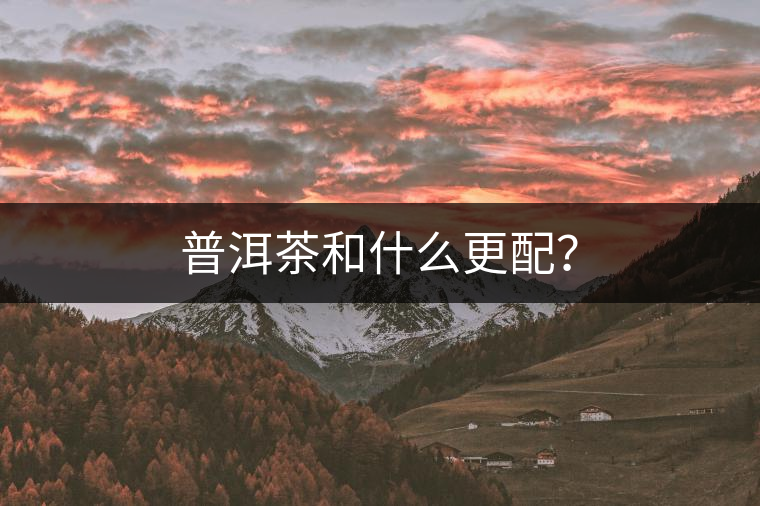 普洱茶和什么更配？